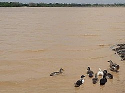 Madarounfa Lake