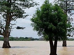 Madarounfa Lake