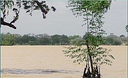 Madarounfa Lake