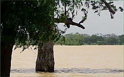 Madarounfa Lake