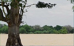 Madarounfa Lake