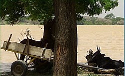 Madarounfa Lake