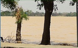 Madarounfa Lake