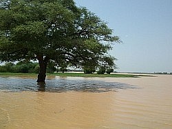 Madarounfa Lake