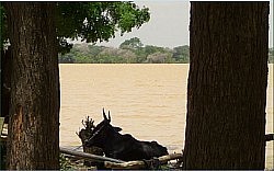 Madarounfa Lake